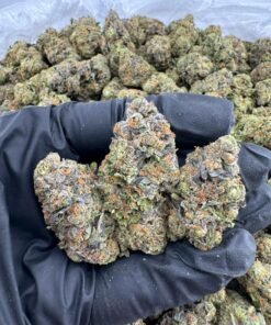 Flowers And Prer-Rolls