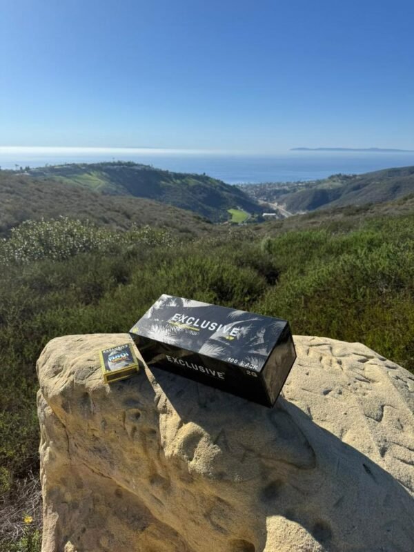 exclusive 2g disposable