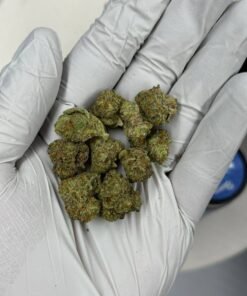 pleasure exotic small batch flower