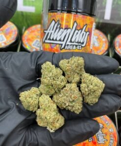 alien labs pre packaged 8ths