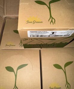 raw garden sauce 2g disposable