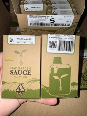 RAW GARDEN SAUCE 2G DISPOSABLE raw garden sauce 2g disposable