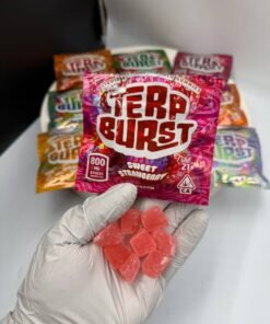 authentic terp burst gummies 800mg