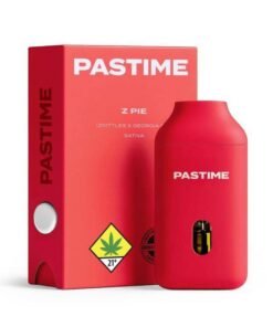 past time 2g disposable