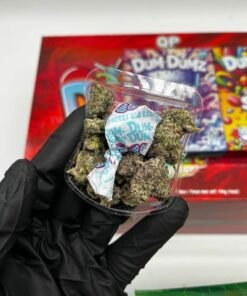 dum dumz exotic flower powered by snooze