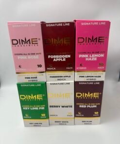 dime industries 2g disposable