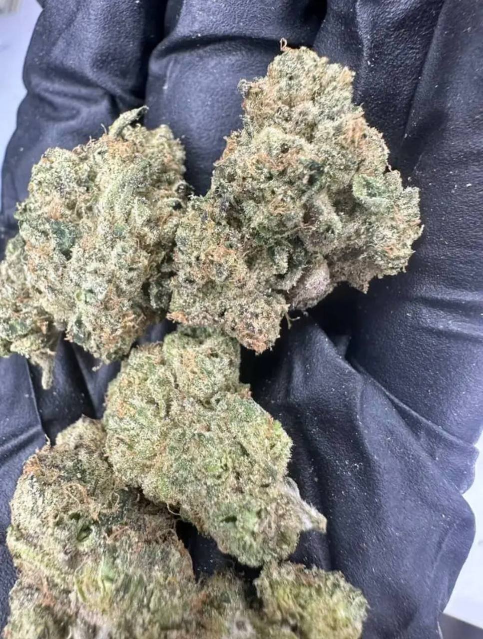 t barz small batch antlers t barz small batch antlers