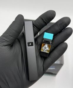 plugplay all in one 2g disposable