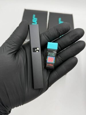 PlugPlay All-In-One 2G Disposable plugplay all in one 2g disposable