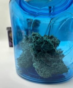 cookies the caviar collection cannabis flower