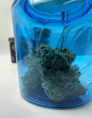 cookies the caviar collection cannabis flower