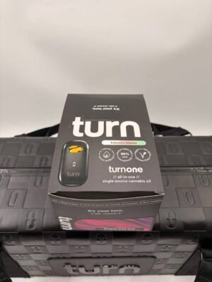 turn 2g disposable botanica blends