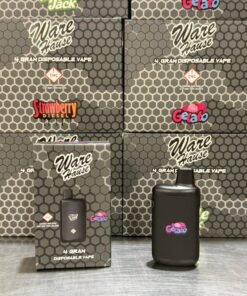 warehause 4g disposable
