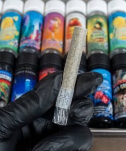 iced frost bites pre rolls