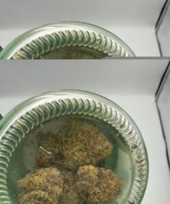 planta cannabis flower