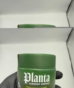 planta cannabis flower