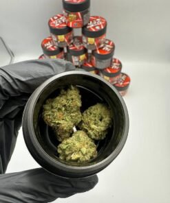 up the hill cannabis flower