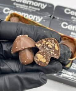 Ceremony Mushroom Chocolate Bars