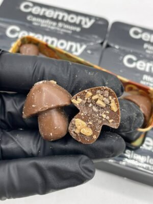 Ceremony Mushroom Chocolate Bars Ceremony Mushroom Chocolate Bars