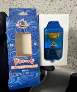 Amnesia 2G Disposable
