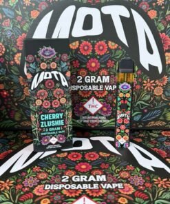 Mota 2g Disposable