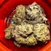 Sherbinskis cannabis flower