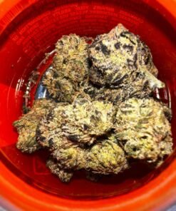 Sherbinskis cannabis flower