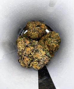 Preferred gardens cannabis flower