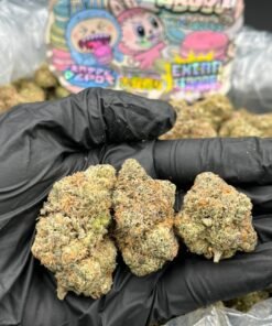 Zabubu Macaroonz Strain
