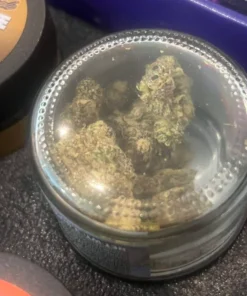 Sprinklez Exotic