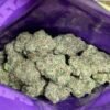 Sweetz Exotics