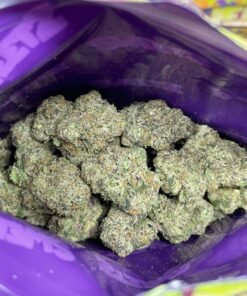 Sweetz Exotics